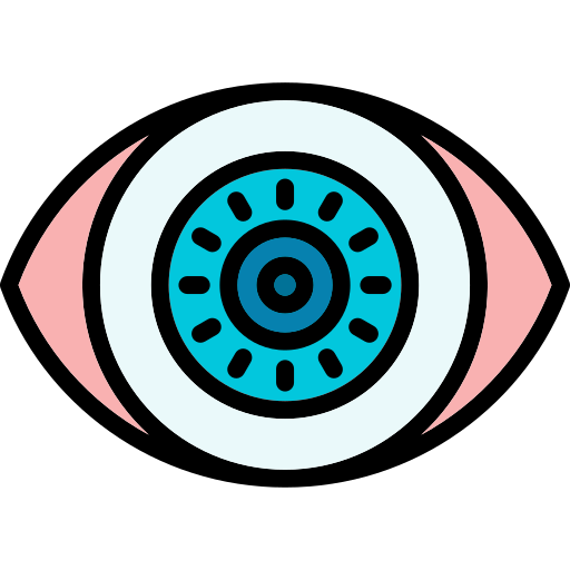 vision